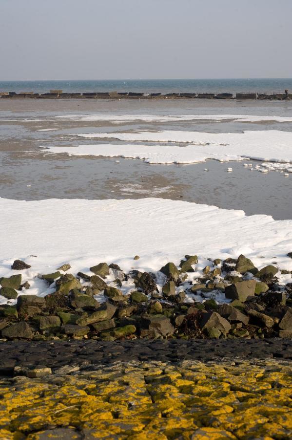 Walvis Nr. 12b * Vrouwenpolder
